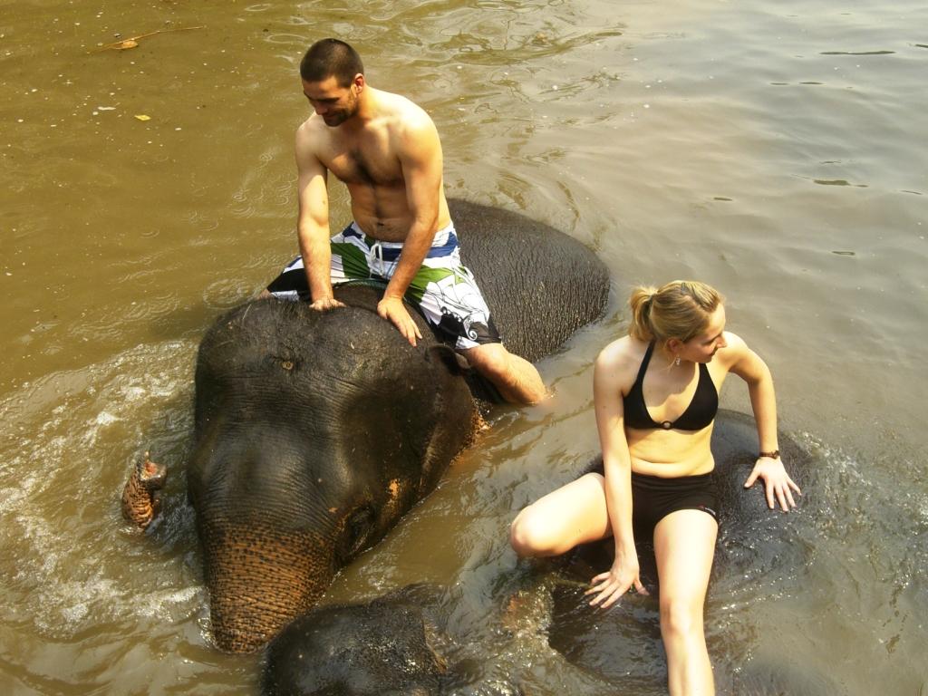 elephants-in-river.jpg