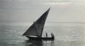 A traditional dhow sails by Chumbe Island