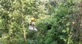 Flying through the jungle