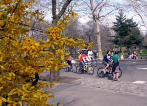Central Park with cyclists in early spring