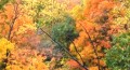Autumn in the Berkshires
