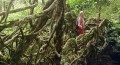The living root bridge feels incredibly strong and stable (©Coen Wubbels)