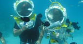 Feeding fish underwater with a tube in Moorea's lagoon.