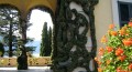 Ficus Pumilia (Creeping Fig) at Villa del Balbianello on Lake Como.