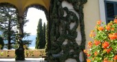 Ficus Pumilia (Creeping Fig) at Villa del Balbianello on Lake Como.