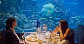 DUBAI_0705a