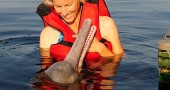 The pink dolphin isn't shy at all (©Coen Wubbels)