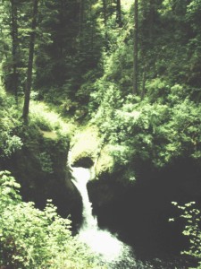 Punchbowl FZalls is an easy dayhike destination.