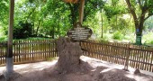 A mass grave in the Killing Fields, Cambodia