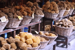 Souvenirs: Sponges from Symi