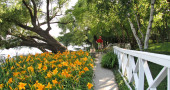 Flowers are blooming along the Geneva Lake Shore Path. ©Melanie Radzicki McManus