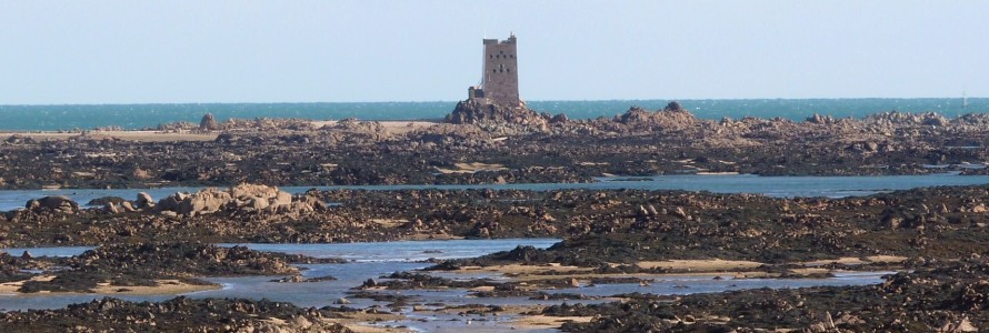 Seymour Tower and Intertidal Reef (photo: Anthony Toole)