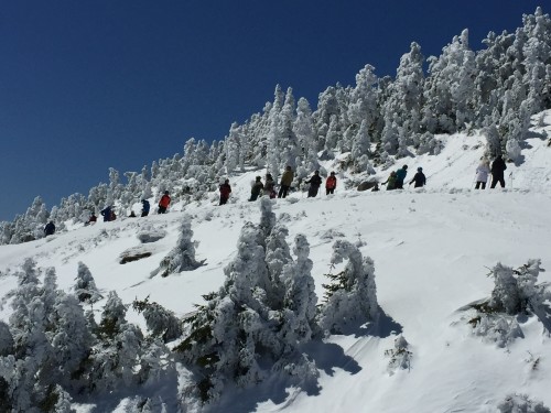 Skiers consider whether to drop nto the women's Olympic downnhill run. 