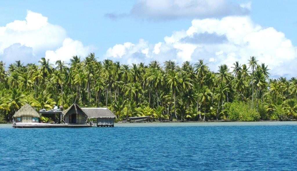 Shopping for Tahitian Black Pearls in French Polynesia