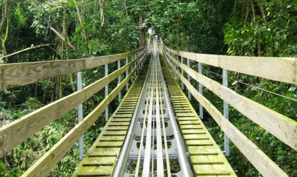 Tropical Bobsledding at Jamaica’s Mystic Mountain