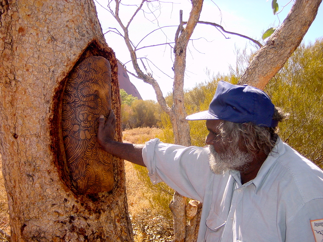 Shipwreck forælder Bliv ophidset Learning Aboriginal Survival Skills in the Australian Outback – Bucket  Tripper