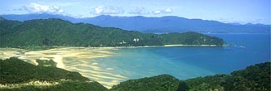 Hiking the Abel Tasman Coast Track on New Zealand’s South Island