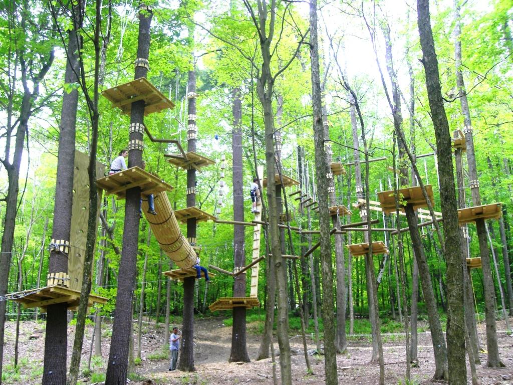 Sky-Walking and Ziplining in the Berkshires: Catamount's Aerial