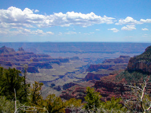 North rim of the Grand Canyon, Arizona (c) Sandra Friend