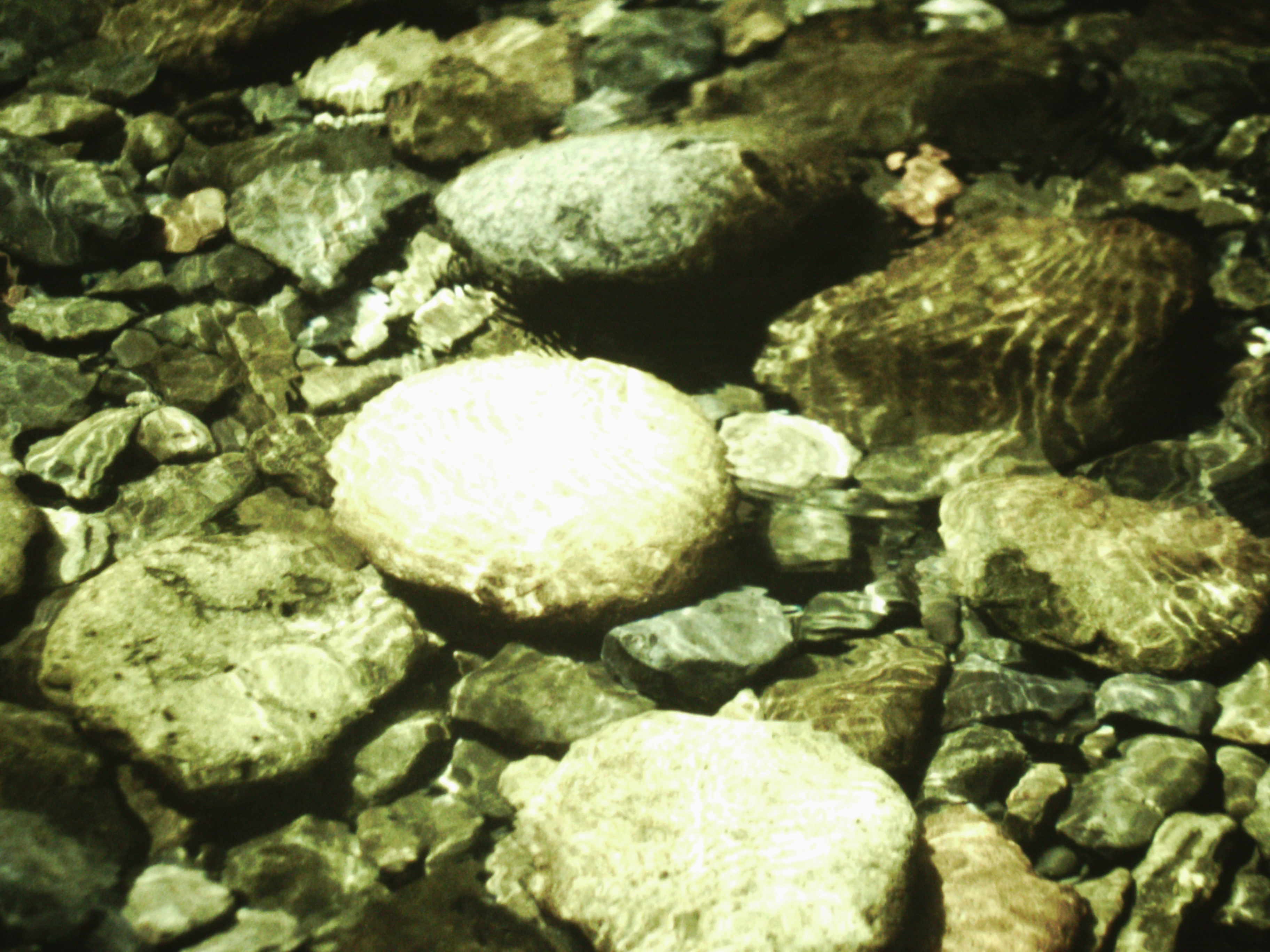 Hiking Oregon’s Eagle Creek Trail near the Columbia River Gorge