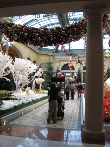 Winter Flower Garden in Las Vegas