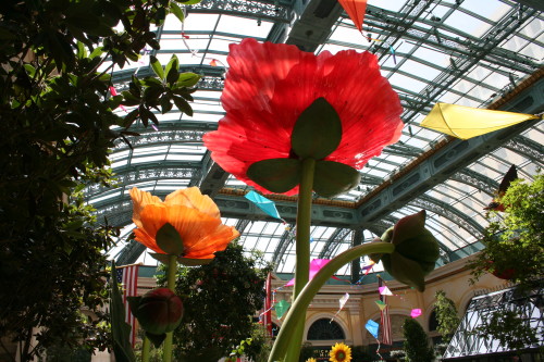 Botanical Garden at the Bellagio in Las Vegas, Nevada