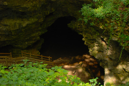 Dance Hall Cave at Maquoketa Caves State Park (Sandra Friend)