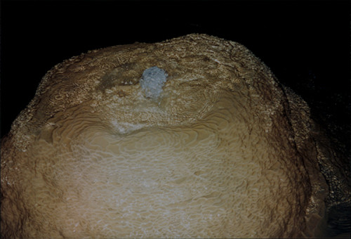 Artesian spring making a mound of dripstone in Smoke Hole Caverns