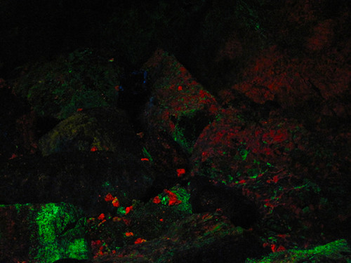 Inside the Rainbow Tunnel