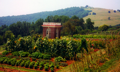 Vegetable gardens on the terrace at Monticello