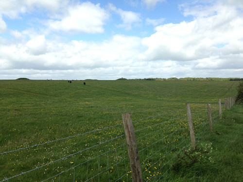 Trail leading to nearby barrows