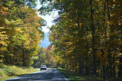 Skyline Drive curves